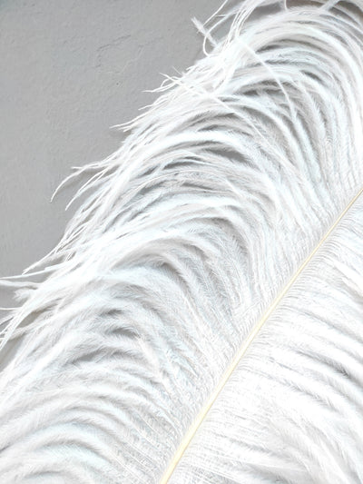 Ostrich Feather LED Floor Lamp - Minimalist Nordic