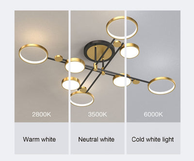 Artpad Black Ceiling Chandelier 4/6/8 Head Light Remote Control Dimmable Lamp for Living room Bedrom Hotel Chandelier Kitchen - Minimalist Nordic